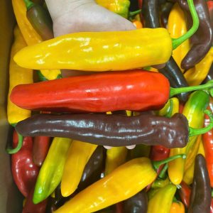 Ớt Ngọt Palermo - 0.5 kg